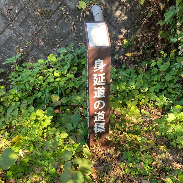 身延道の道標｜「身延道」とは身延山久遠寺（山梨県身延町）に到る道である。沼久保地区には、東海道を東から来て星山を通り沼久保へ出る道筋と、市中心部から安居山を経て沼久保へ出る道筋の２通りの道筋が通っている。この道標は、２つの道筋が合流する所に建てられている。