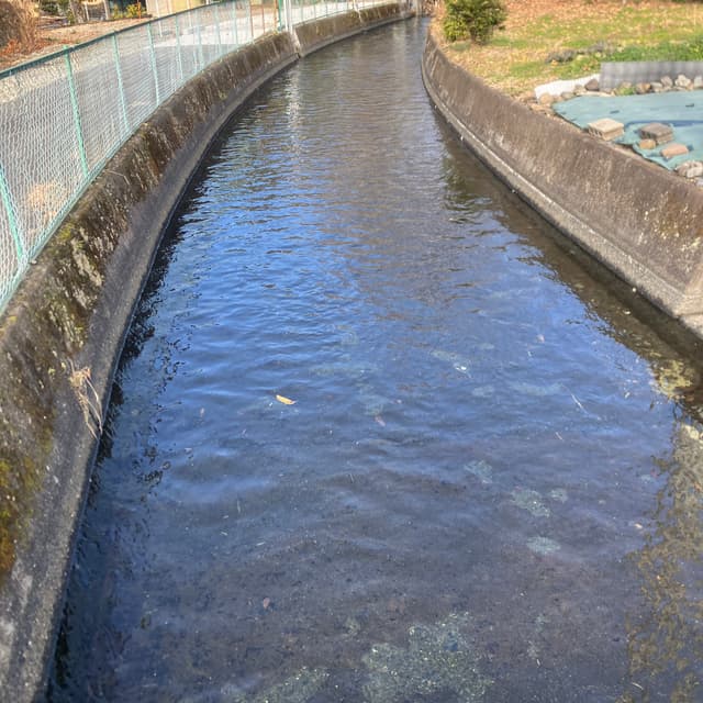大堀（おおほり）用水｜大堀用水の水路脇に水神碑がある。大堀用水は、大鹿窪・西山・安居山（あごやま）・沼久保（ぬまくぼ）を灌漑する用水である。猫沢（ねこざわ）の燕（つばくろ）堰で芝川から取水し、西山までは大堀用水、安居山隧道（ずいどう）(トンネル)を抜けて安居山・沼久保を安沼（あんぬま）用水（安居山用水）として流れ、流域を灌漑する。
