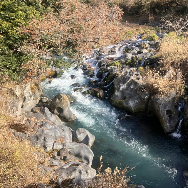  芝川ポットホール｜芝川の川底の岩盤にいくつもの丸いくぼみが見られる。これは、水の流れの作用により小石が岩をえぐって出来たもので、ポットホール・甌穴（おうけつ）と呼ばれる。ここのポットホールは静岡県の天然記念物に指定されている。