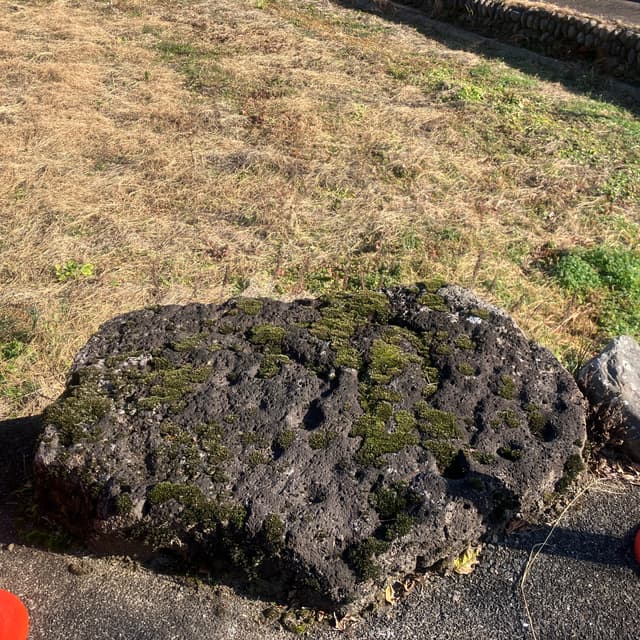 甲（かぶと）石・櫃（かろうと）石｜道端の平たい大石は「櫃石」と呼ばれ、富士の巻狩にまつわる伝説が伝わっている。頼朝がこの大石の上に鎧櫃（よろいびつ）を置き、近くに甲（かぶと）を置いたという。櫃石の傍らの田んぼの隅に「甲石」がある。